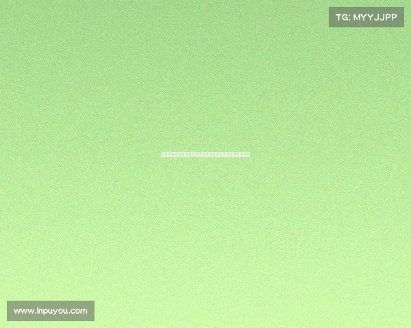 热血拳击世界巅峰对决全球顶尖高手激烈角逐王者荣耀之战